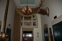 12 Elk Head Above The Elevators At Chateau Lake Louise